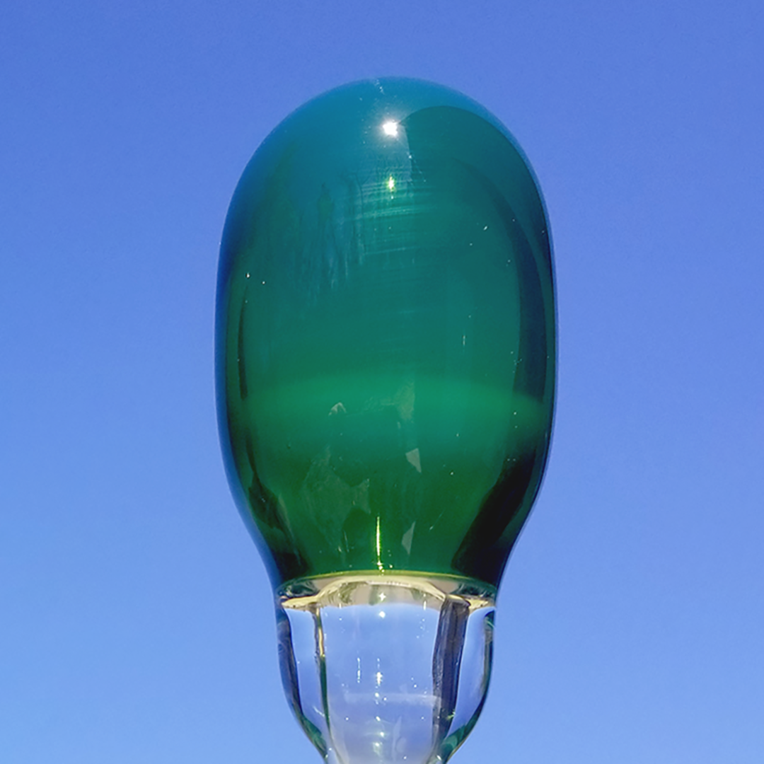 Plantphibian Odd Lot